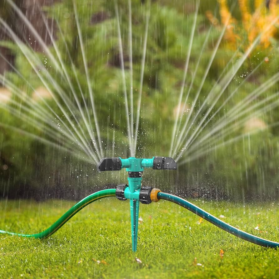 81waF3GiwGL._AC_UF894,1000_QL80_