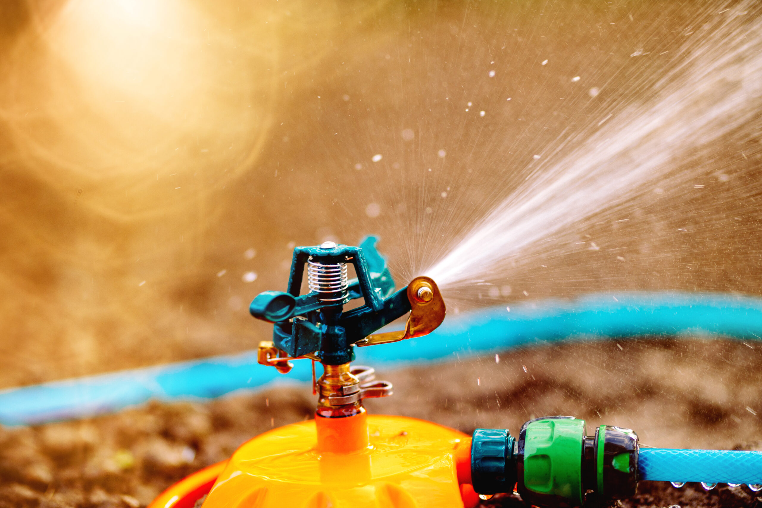 Automatic watering grass, lawn maintenance, gardening and sprinklers