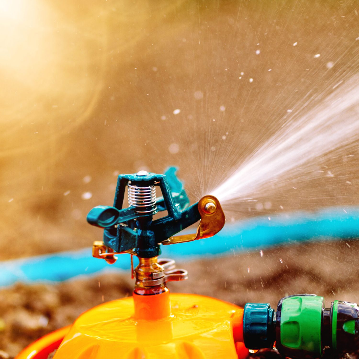 Automatic watering grass, lawn maintenance, gardening and sprinklers